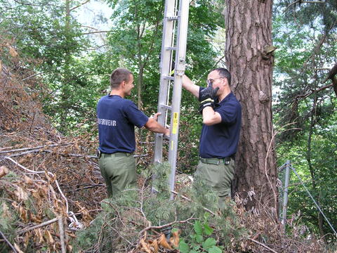 Original digitales Objekt not accessible