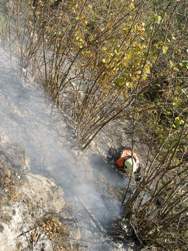Waldbrand oberhalb Eigenhofen