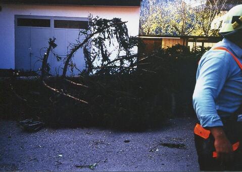 Original digitales Objekt not accessible