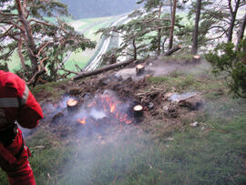 Waldbrand im Bereich Martinswand