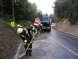 Klein-LKW bei Talfahrt gegen die Böschung gefahren, B177, KM4,4