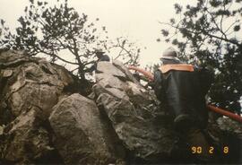 Waldbrand oberhalb Schießstand, Schloßbachklamm