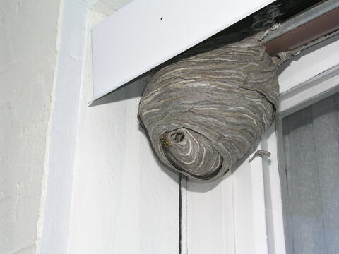 Original digitales Objekt not accessible