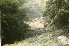 Traktorabsturz in den Oberbach, 1 Schwerverletzter, Bergung