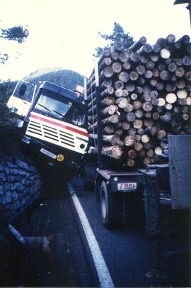 LKW Unfall, B177 (Giftkurve), Auffahrunfall auf Holztransporter