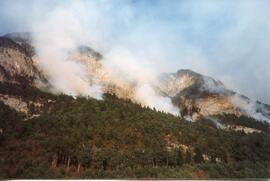 Waldbrand entlang der Mittenwaldbahn, 14 Brandstellen, von KM 7 bis 8,5