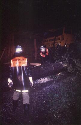 Baum bei Martinsbühel auf LKW gestürzt