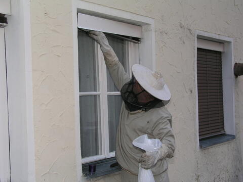 Original digitales Objekt not accessible