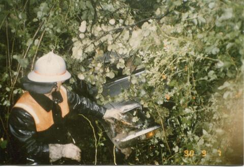 Original digitales Objekt not accessible