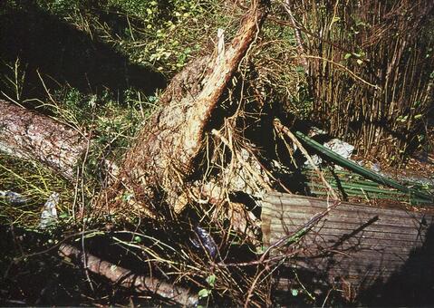 Original digitales Objekt not accessible