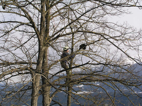 Original digitales Objekt not accessible