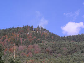 Waldbrand oberhalb Eigenhofen