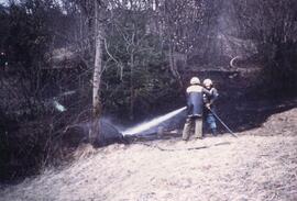 Böschungsbrand unterhalb B 177, Schloßhäusl
