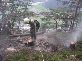 Waldbrand im Bereich Martinswand