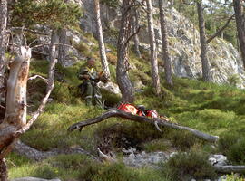 Nachlöscharbeit, Hechenberg, Finstertalegg, Kleiner Hochwandkopf, Hubschraubereinsatz,