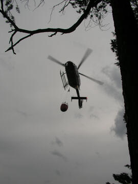 Waldbrand im Bereich Martinswand