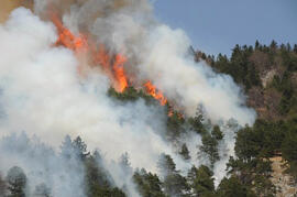 Waldbrand in der Kranebitter Klamm