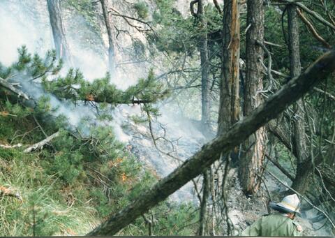 Original digitales Objekt not accessible