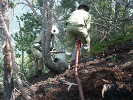 Waldbrand am Hechenberg, Finstertalegg