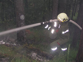 Waldbrand im Bereich Kaiserstand durch Blitzschlag