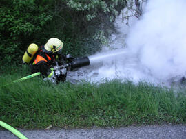 PKW Brand A12, KM 94,8, nach Kollision mit Baum, Höhe Rosenberger