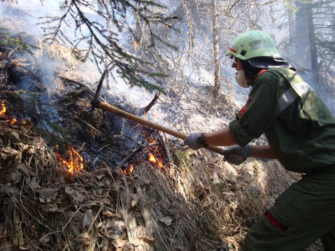 Original digitales Objekt not accessible