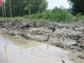 Hochwasser in Niederösterreich, Raum Amstetten, Hilfeleistung bei Aufräumung