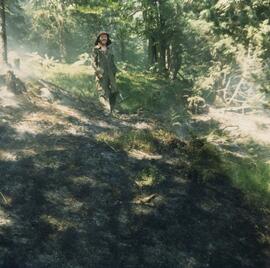 Waldbrand oberhalb der Martinswand, Hubschraubereinsatz