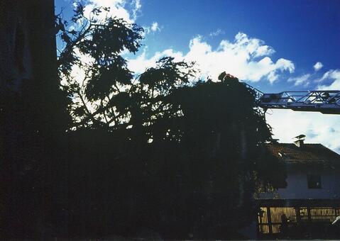 Original digitales Objekt not accessible