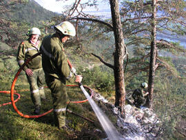 Waldbrand oberhalb Eigenhofen