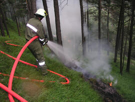 Waldbrand im Bereich Kaiserstand durch Blitzschlag