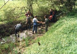 Granantenfund im Giesen beim Kapferers Äuele
