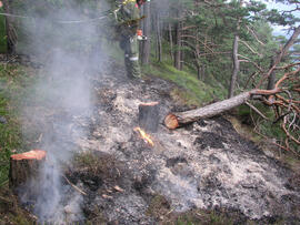 Waldbrand im Bereich Martinswand