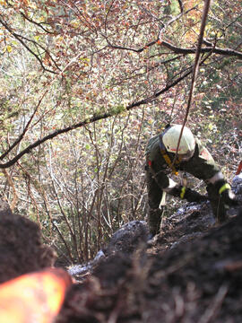 Waldbrand oberhalb Eigenhofen