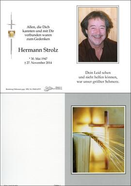 Sterbebild Strolz Hermann