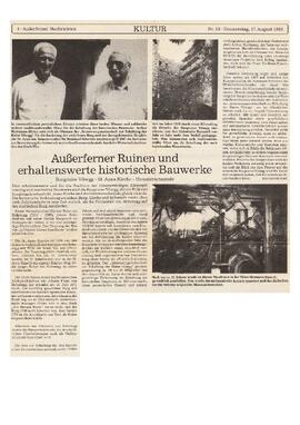 Artikel Burg Vilsegg und Hammerschmiede 1989