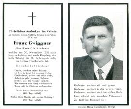 Gwiggner Franz Boar