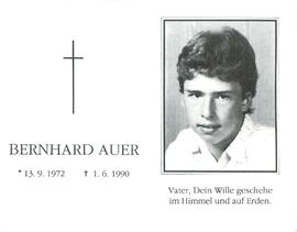 Auer Bernhard