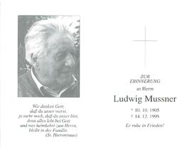 Messner Ludwig