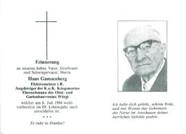 Gamsenberg Hans Elektromeister