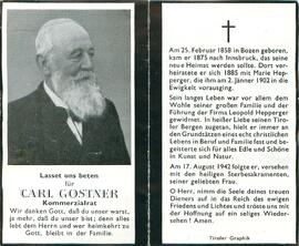 Gostner Carl