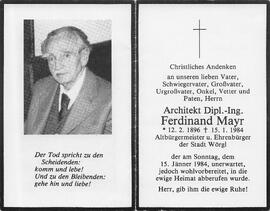 Mayr Ferdinand Dipl.-Ing.