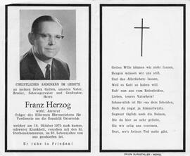 Herzog Franz