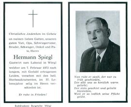 Spiegl Hermann