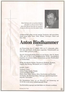 Bindhammer Anton G