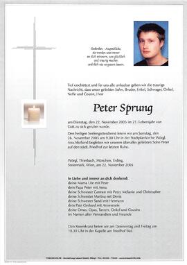 Sprung Peter G