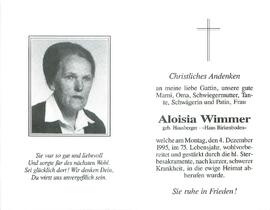 Wimmer Aloisia geb. Hausberger
