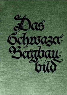 Das Schwazer Bergbaubild