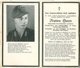 Haas Anton