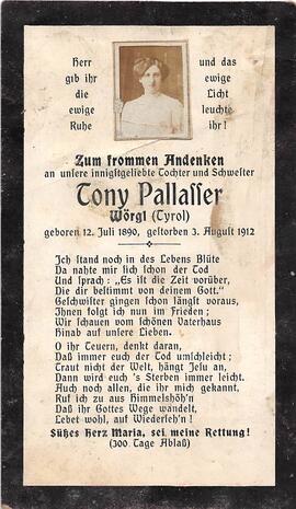 Pallasser Cony